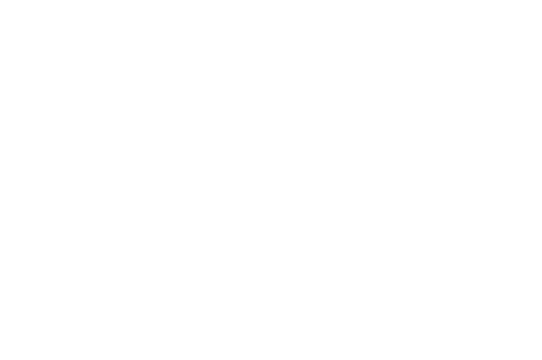 Asian American Int'l Film Festival